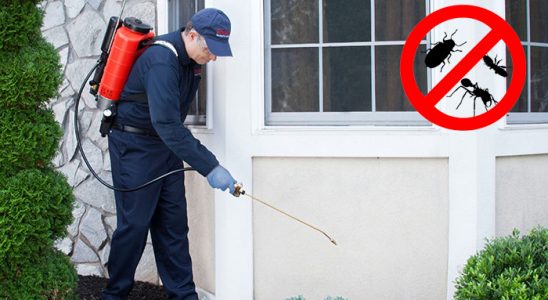 Çamoluk Kemirgen İlaçlama böcek ilaçlama ve haşere kontrolü — ilaclama-tr.com